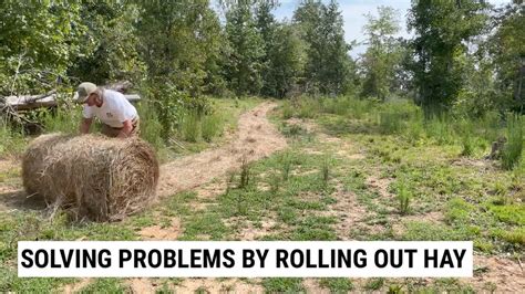 erosion control hay bales|Easy Seeding and Erosion Control With Hay .